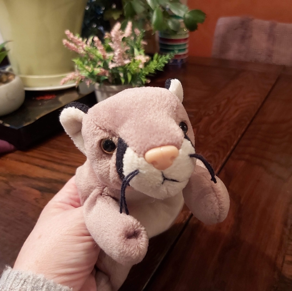 1998 *Canyon *TY Mountain Lion( collector)